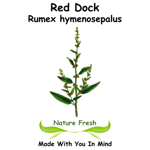 Red Dock