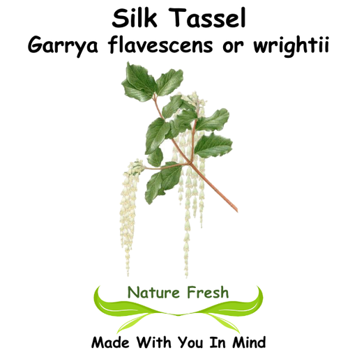 Silk Tassel
