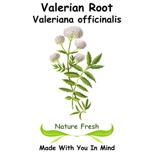 Valerian