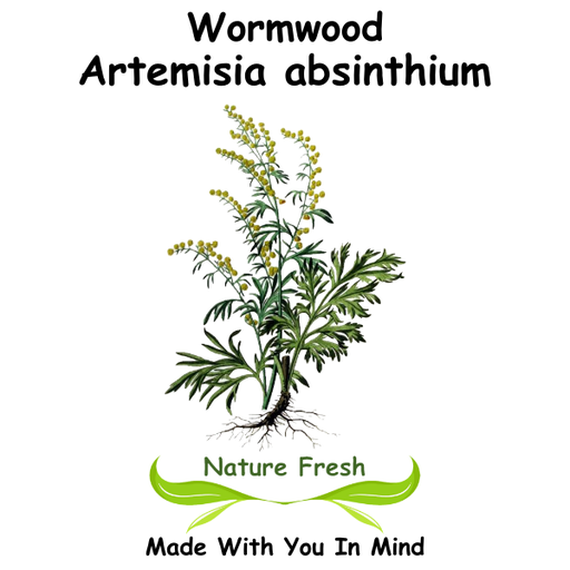 Wormwood